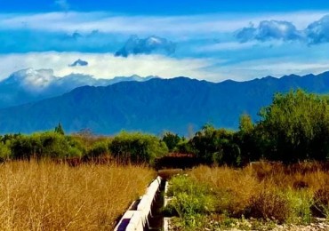 GREENWOOD VENDE LOTE EN VISTALBA CON VISTA UNICA A LA CORDILLERA, TODOS LOS SERVICIOS.