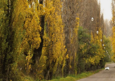GREENWOOD VENDE LOTES EN EL DISTINGUIDO BARRIO PINAR VISTALBA