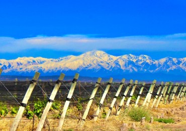 GREENWOOD VENDE INIGUALABLE VINEDO EN LUJAN DE CUYO - BARRANCAS, CON UNA VISTA UNICA A LA CORDILLERA Y UNA PRODUCCION DE PRIMERA CALIDAD