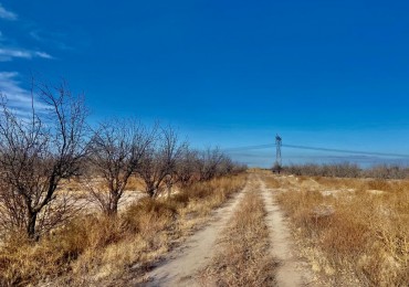 GREENWOOD VENDE CAMPO EN PALMIRA IDEAL EMPRENDIMIENTOS