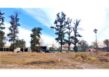 GREENWOOD VENDE AMPLIO LOTE EN CALLE SARMIENTO, A 200 METROS DE CALLE MAZA DE MAIPU