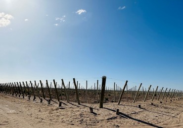 GREENWOOD VENDE EXCELENTE FINCA EN EL ESTE DE LA PROVINCIA FRENTE A RUTA 7