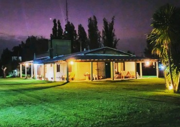 GREENWOOD VENDE IMPECABLE FINCA DE OLIVOS CON CASA PATRONAL Y QUINCHO, IDEAL EMPRENDIMIENTOS