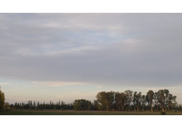GREENWOOD VENDE EXCELENTES TIERRAS EN SAN RAFAEL, FINCA EN COLONIA ELENA PARA CULTIVOS Y GANADERIA INTENSIVA