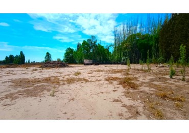 GREENWOOD VENDE AMPLIO TERRENO INDUSTRIAL CON EXCELENTE ACCESO, IDEAL EMPRENDIMIENTOS INDUSTRIALES EN LUJAN DE CUYO