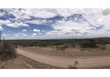 GREENWOOD INVERSIONES INMOBILIARIAS VENDE CAMPO GANADERO