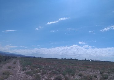 GREENWOOD INMOBILIARIA VENDE TERRENO LIBRE EN ZONA INDUSTRIAL LUJAN DE CUYO SOBRE RUTA NACIONAL 7 CORREDOR BIOCEANICO A CHILE. 