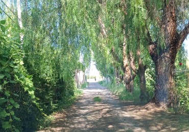 GREENWOOD INMOBILIARIA VENDE LOTE EN MAIPU 