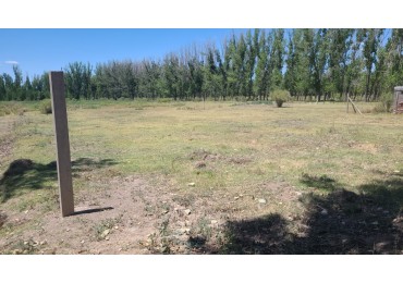 GREENWOOD INMOBILIARIA VENDE LOTE EN EL CARRIZAL DE ABAJO