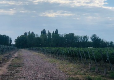 GREENWOOD INVERSIONES INMOBILIARIAS VENDE FINCA UGARTECHE