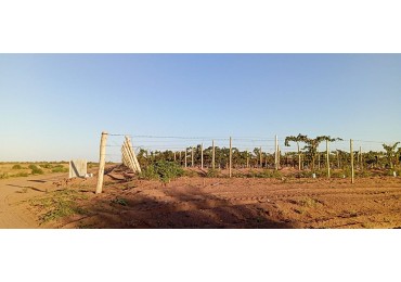 GREENWOOD TE OFRECE HERMOSA FINCA EN SANTA ROSA DE 400 HECTAREAS!
