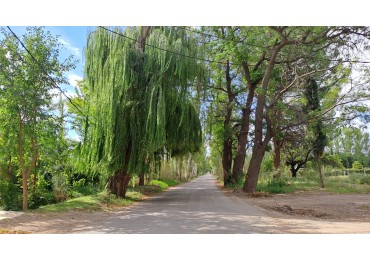 GREENWOOD VENDE ESPECTACULAR LOTE EN BARRIO CERRADO LOS TEROS EN PERDRIEL.