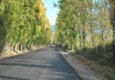 GREENWOOD VENDE GRAN TERRENO EN LAS COMPUERTAS, LUJAN DE CUYO.