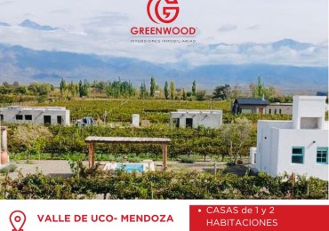 GREENWOOD VENDE CASA ESTILO COLONIAL EN VISTA FLORES TUNUYAN MENDOZA