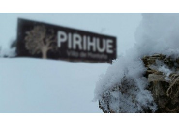 GREENWOOD INMOBILIARIA VENDE TERRENO A 15 MIN DE LAS LEÑAS.