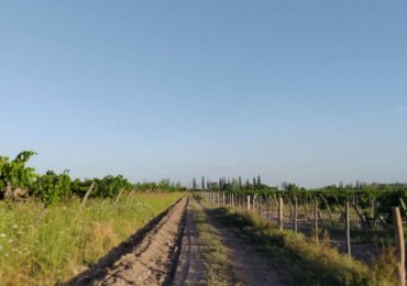 GREENWOOD INMOBILIARIA VENDE - EXCELENTE OPORTUNIDAD DE INVERSION