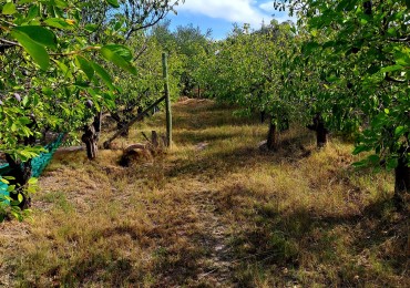 GREENWOOD INMOBILIARIA VENDE OPORTUNIDAD EN Rodeo del Medio - Maipu