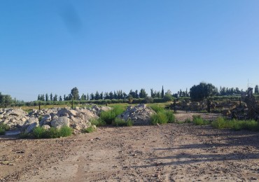 GREENWOOD INMOBILIARIA VENDE IMPORTANTE TERRENO EN LA ZONA DE MAIPU MENDOZA