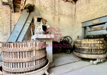 GREENWOOD VENDE BODEGA Y CASA EN LUJAN DE CUYO, IDEAL PARA INVERSORES DE EXPERIENCIAS GASTRONOMICAS Y GUARDA DE VINOS
