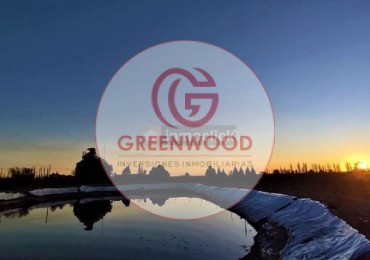 GREENWOOD VENDE FABULOSA FINCA CON VIÑEDO, CASA Y PEQUEÑA BODEGA ARTESANAL EN SAN RAFAEL