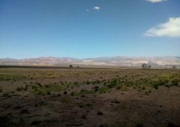 GREENWOOD VENDE FINCA HERMOSA CON UN GRAN VISTA A LA CORDILLERA, UBICADA EN LOS TAMBILLOS, USPALLATA